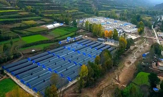 1595319394122700.jpg 1595319394122700.jpg